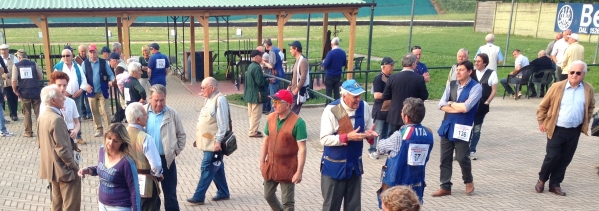 C.I.2014